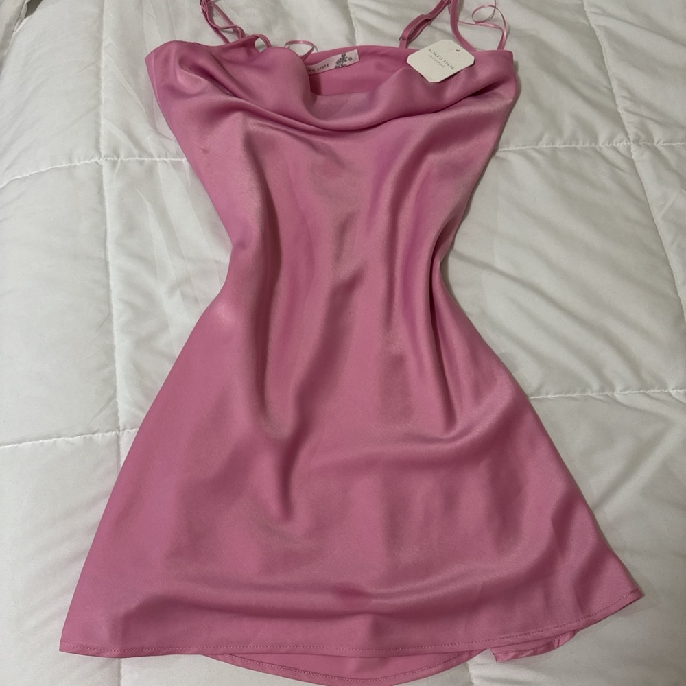 Elegant Pink Dress NWT Altard state